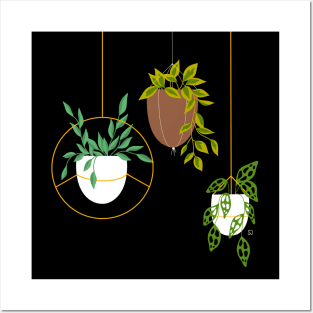 Hanging Plants Posters and Art